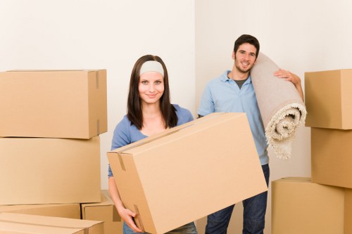 Smaller van-based removal support